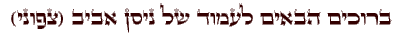 ברוכים הבאים לאתר של ניסן אביב צפוני